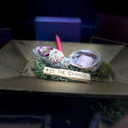Be The Change Box Set: Sage, Rose Quartz, Abalone Shell