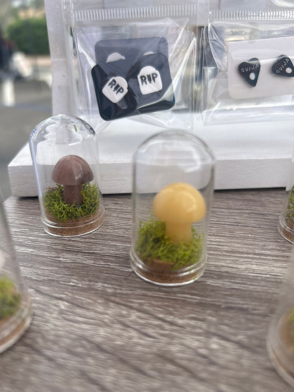 Tiny Pet Ghost Terrarium: Crystal Mushroom Moss Garden Decor